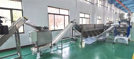 核桃去青皮清洗、提升機